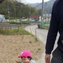 정글쥬쥬