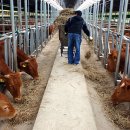 준 농장 이미지