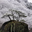 지리산화개골