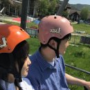 평창 여행 리스트