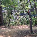 서울치과 앞 횡단보도 이미지