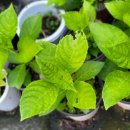 진욱농장 이미지