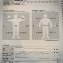 페르소나 피티 | [대전 PT 용문동] 페르소나 피티샵, 헬스와 식단 모두 체계적 관리 이렇게 해드립니다!