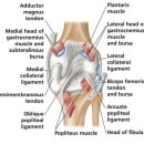 무릎통증의 가장 흔한 원인 - 슬개대퇴 증후군, 슬개골 연골연화증의 치료에 대하여 이미지