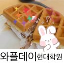 오늘은와플데이