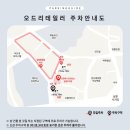 오드리 헤어 이미지