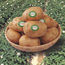 설봉영농조합법인 이미지