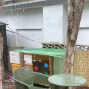 이아이아오로스터스(EIEIO ROASTERS) | 고양이 가족과 함께 여유로운 시간을 보낼 수 있는 속초 커피맛집 카페 이아이아오로스터스 내돈내산