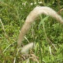 합천군산림조합 이미지