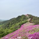 청련사 | 4월 꽃구경하기 좋은 강화도 고려산 등산 후기(청련사2코스, 철쭉 철) / 주차 꿀팁 / 초보등산추천