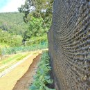 대건농장 이미지