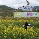 산청 신안군 유채꽃축제 이미지