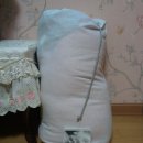 디자인스 Daum카페