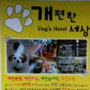 개편한세상 이미지