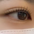 온천초등학교 | 단백질수분케어펌 플러스 틴팅으로 또렷해진 부산 동래 온천동 속눈썹펌 펌유 후기