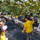 천곡중앙어린이집 이미지