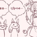 사이트안경 이미지