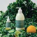 숲속의향기 이미지