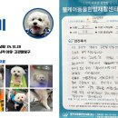 웰케어 동물건강검진센터·동물한방재활센터 이미지