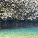 한국교원대학교 교육대학원 | 한국교원대학교 일반대학원 파견교사 석사 1학기 후기&amp;정보