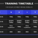 파이트짐