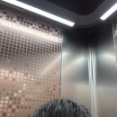 장발에서빡빡까지 이미지