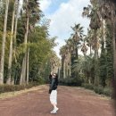 고내농장 | 제주여행 추천 코스 남편이랑 둘이서 다녀온 1박2일