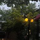 올가닉신라 이미지