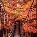 피아골(기산) Daum카페