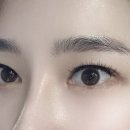 필레오트윈파크1 이미지