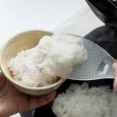 오뚜기 | 일본 프리미엄 마르나 마나 주걱 스탠딩 오뚜기 밥주걱 사용 후기