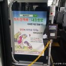 예항맥외과 이미지