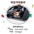 태평유치원