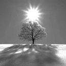 클래식을 재즈처럼 듣기 이미지