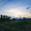 세천강변 이미지