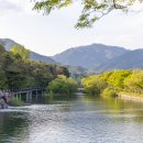 의림지-01 | 충북 제천 가볼만한곳 여행지 의림지 용추폭포