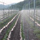 1호농장 이미지