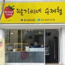 딸기씨네 수제청