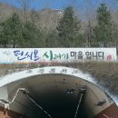 민형농장 네이버블로그