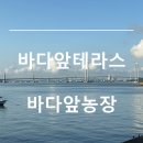 J농장 | 인천 영종도 가볼만한 곳 오션뷰 베이커리 카페 바다앞테라스 바다앞농장 디저트 맛집