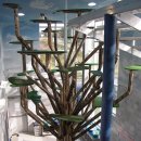 고양이 놀이터 이미지