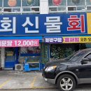회신물회 이미지