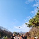 막지리184 이미지