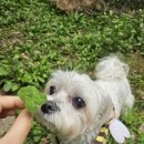 펫사랑동물병원 이미지