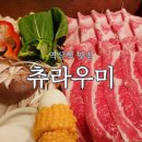 프라임킴 프렌치 불독 | 역삼역 맛집 :: 환상적인 분위기를 자랑하는 츄라우미와 로리스더프라임 후기