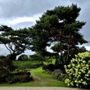 이화동산 이미지