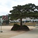 영주고등학교 이미지