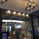 신데렐라프로헤어