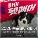 송도목우촌 | 2026 송도 마이 펫페어 펫박람회 주차 일정 꿀팁 공유