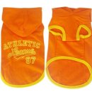 오렌지애견 이미지